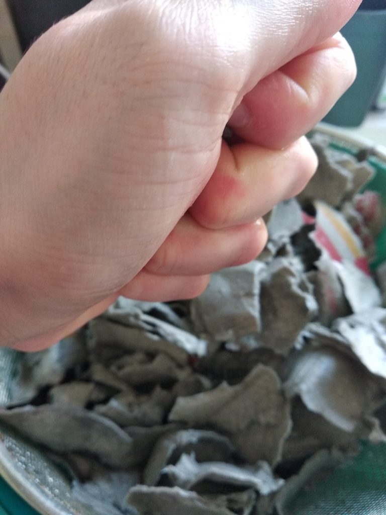 איך מכינים עיסת נייר