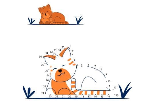 קו נקודה חתול