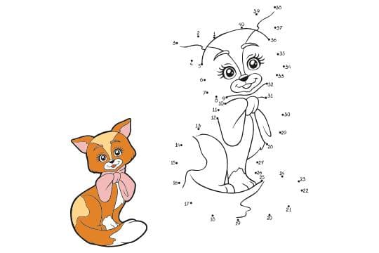 קו נקודה חתול