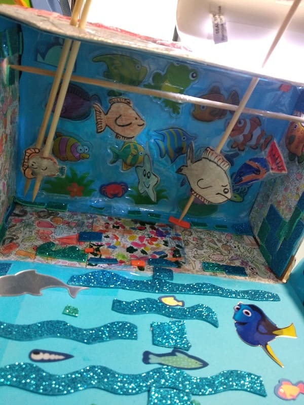 אקווריום מקופסת נעליים