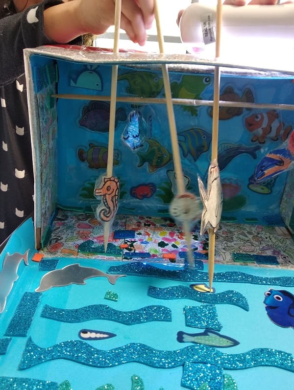 אקווריום מקופסת נעליים