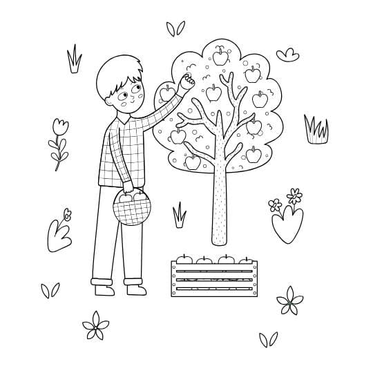 דף צביעה לטו בשבט