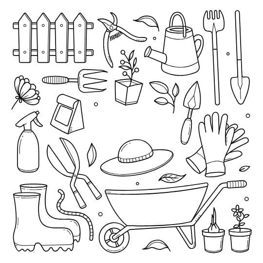 דף צביעה לטו בשבט