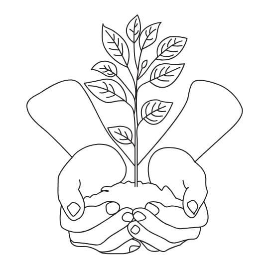 דף צביעה לטו בשבט