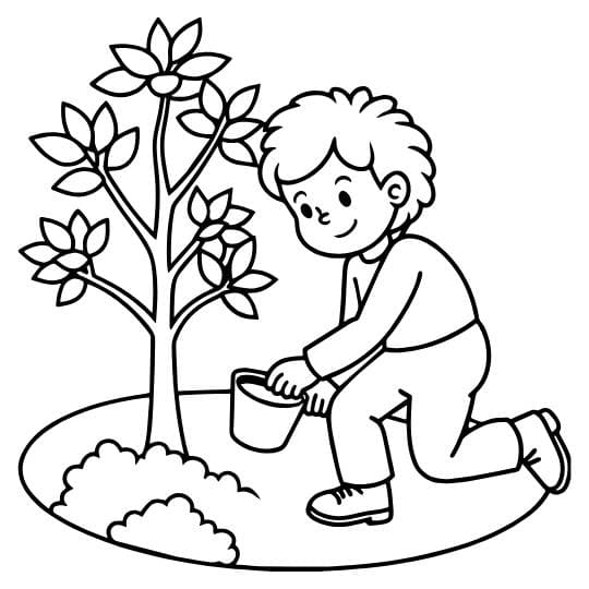 דף צביעה לטו בשבט