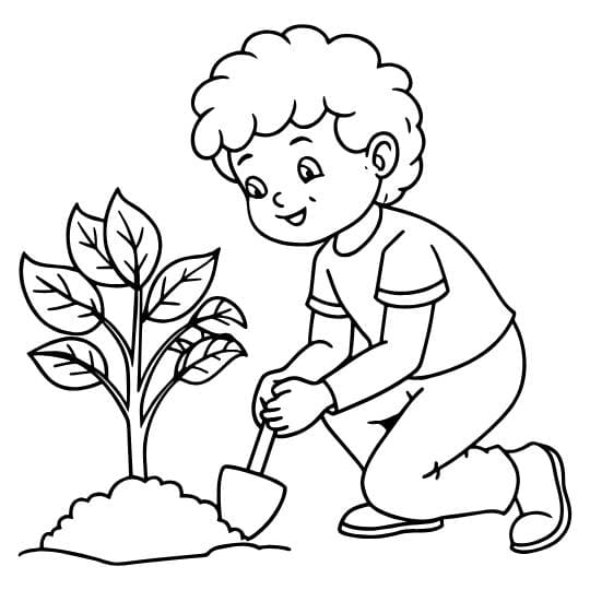 דף צביעה לטו בשבט